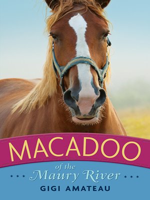 cover image of Macadoo